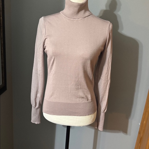 Express Sweaters - Express Women's Blush Pink Turtleneck Sweater